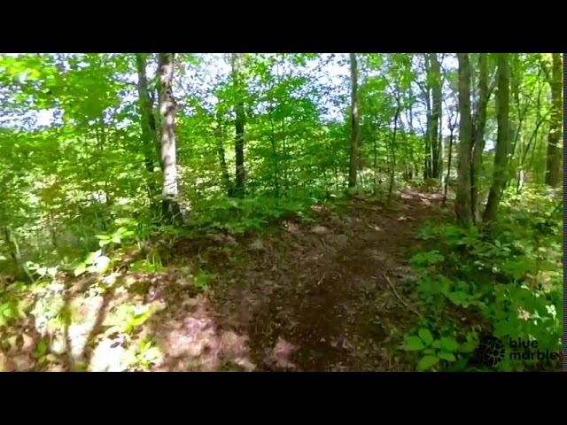 Walking with blue marble | Frontenac Provincial Park