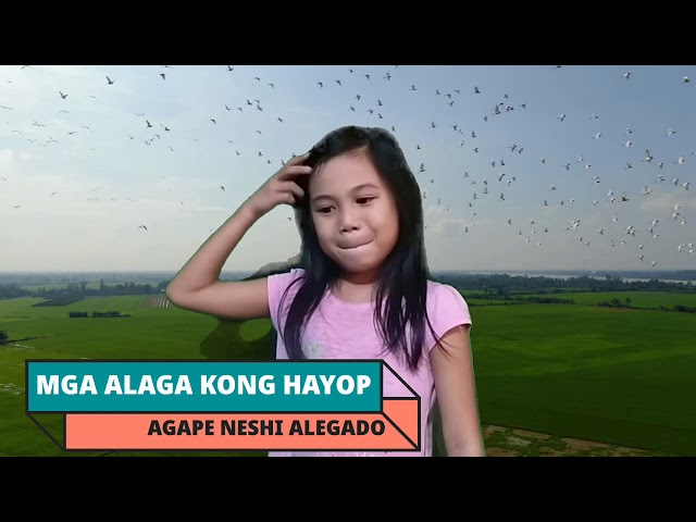 Mga Alaga kong Hayop Song |  Neshi TV