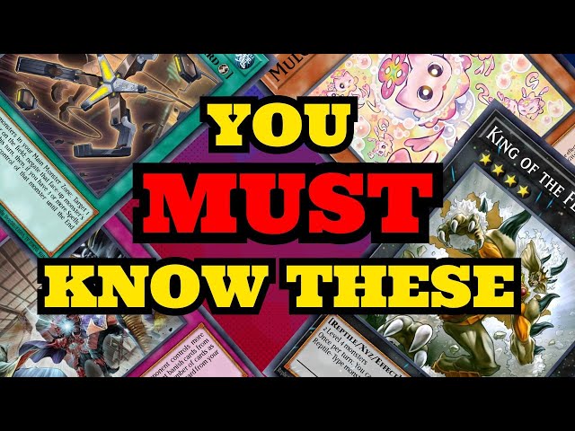 YU-GI-OH! THINGS YOU MUST KNOW AS A PLAYER!