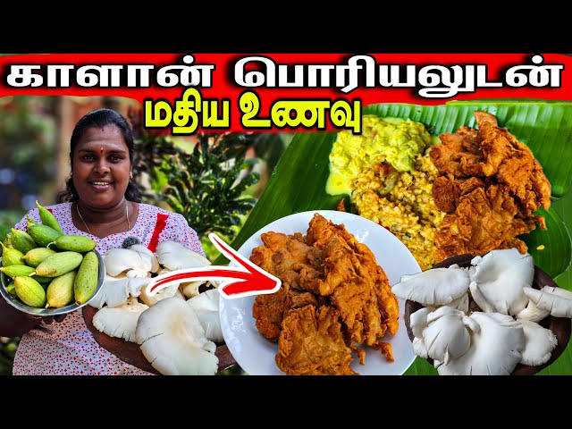 காளான் இருந்தால் இப்படி செய்து பாருங்க | village life | our cooking | vanni vlog