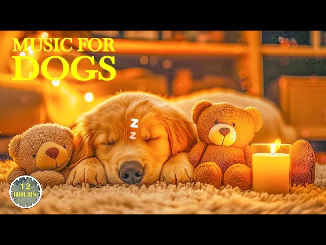 [No Ads] Music to Prevent Anxiet for Dogs, Dog Stress Relief Music🎵🐶 Calming Music for dog