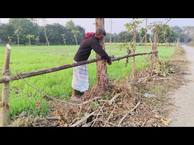 West Bengal India green 🍏 world 🌍 #greenscreen #greenworld