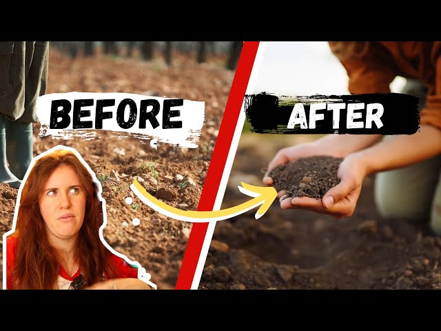 How To ACTUALLY Fix Any Soil Type. Soil Science 101