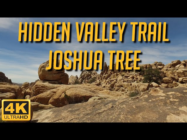 Is this the BEST HIKE in JOSHUA TREE? Hidden Valley Trail - National Park Virtual Hike in 4K HD