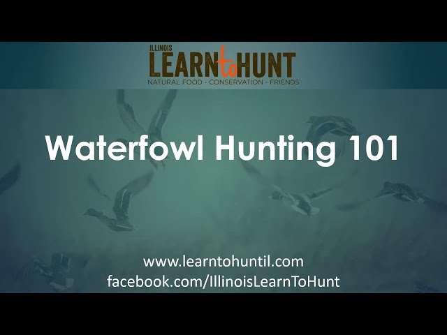 Waterfowl Hunting 101