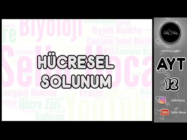 11) Hücresel Solunum (Glikoliz - Oksijensiz Solunum)