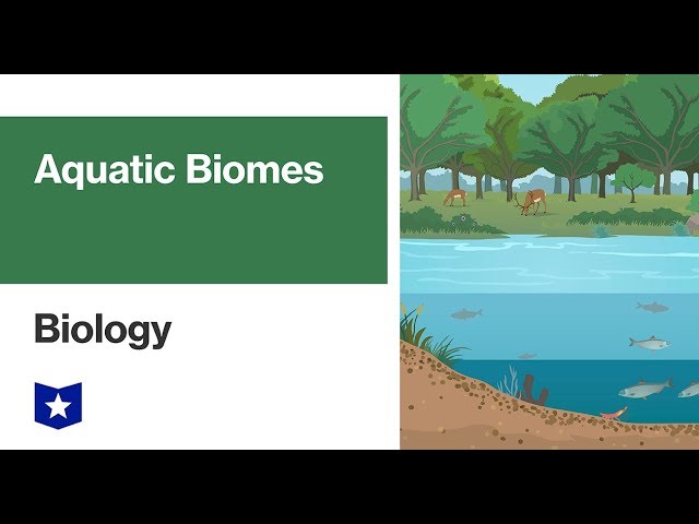 Aquatic Biomes | Biology