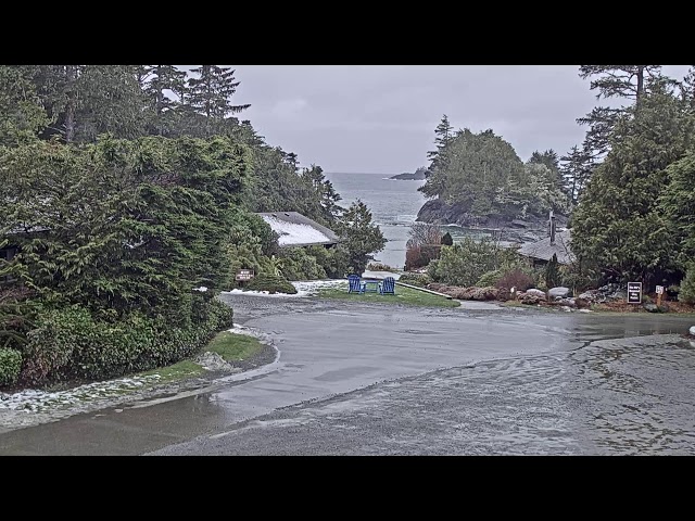 Beachview Cam - Crystal Cove Beach Resort, Tofino, B.C.