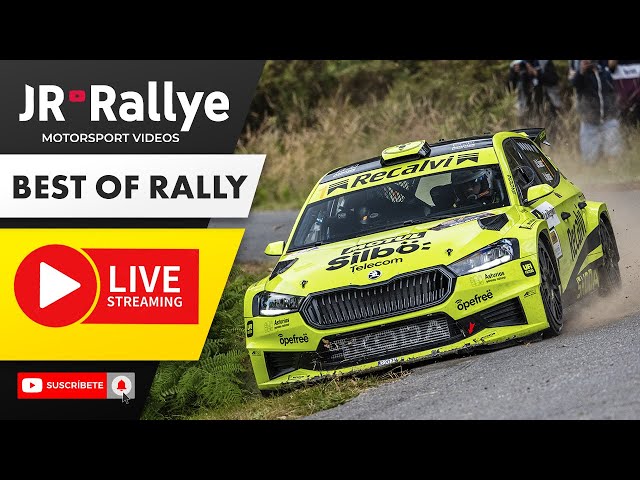 Best of RALLY & HILLCLIMB 2024 | Big Show & Action | #wrc  #motorsport  #rallyshow