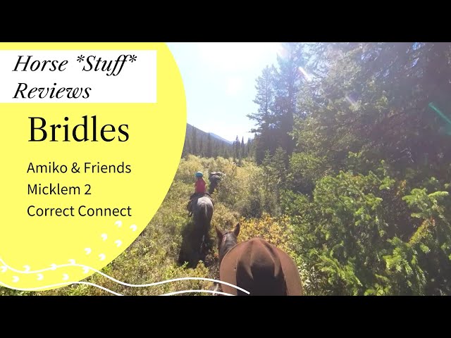 Comparing Four Bridles: My Honest Opinion | Horseware Micklem 2, Correct Connect, Amiko and Friends