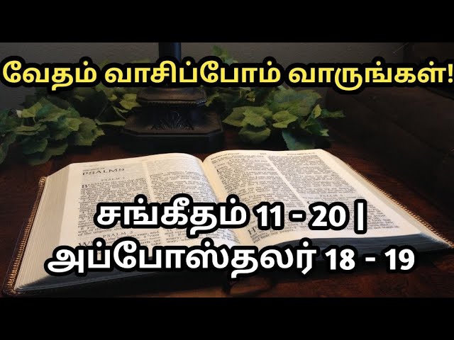 வேதம் வாசிப்போம்! வாருங்கள்! 262 (24 -132) | சங்கீதம் 11-20 |அப்போஸ்தலர் 18-19 | @meimarai | #live