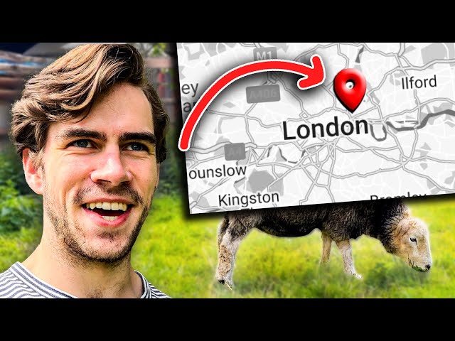 I Found a Secret Farm in Central London 🇬🇧 - London 4K VLOG