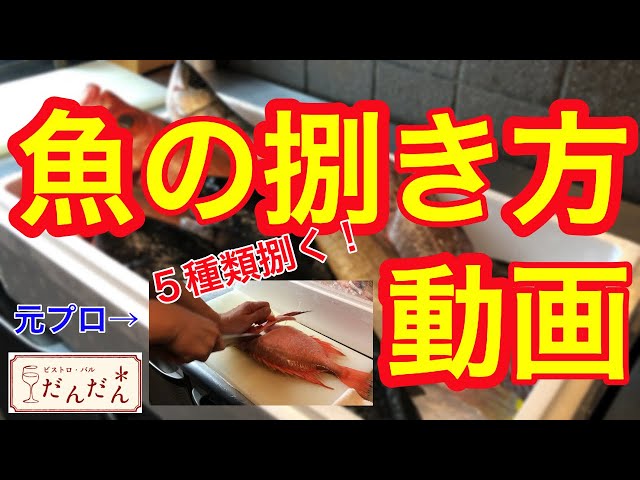 /魚の捌き方動画/