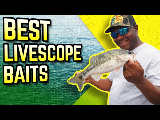 Best LiveScope Baits | Mark Daniels Jr.