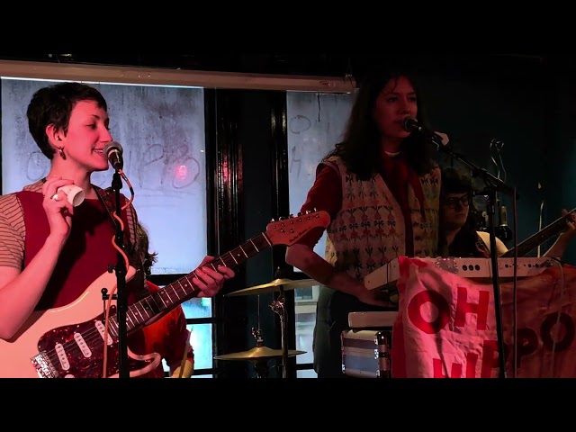 Oh Hippo - Party [Live at the Dulcimer, 01/02/2025]