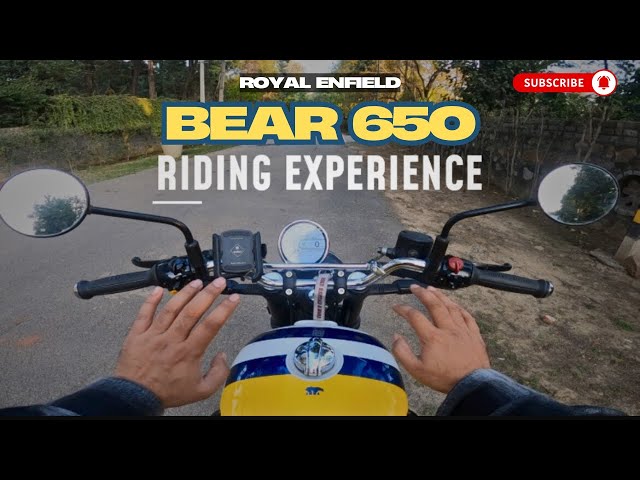 Bear 650 2025 Royal Enfield | What’s New | Full Review and Ride Test | Free Wheeler