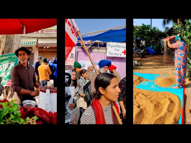 Manu Chao & Playing for Change: “Seeds of Freedom” (India)