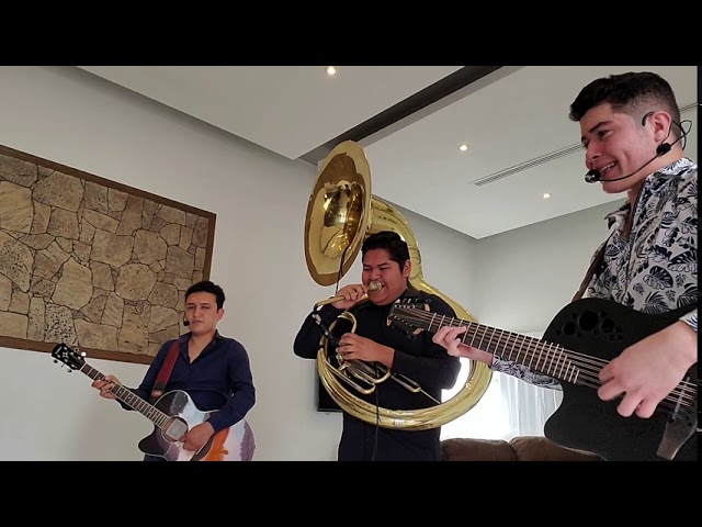 Si Te Pudiera Mentir (En Vivo)- Chris Trevizo Y Los Mentados