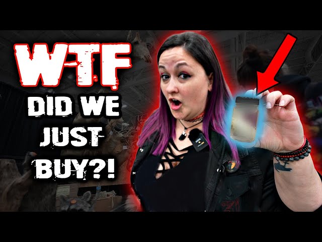 Oddities & Curiosities "WTF" Challenge: You Vote!