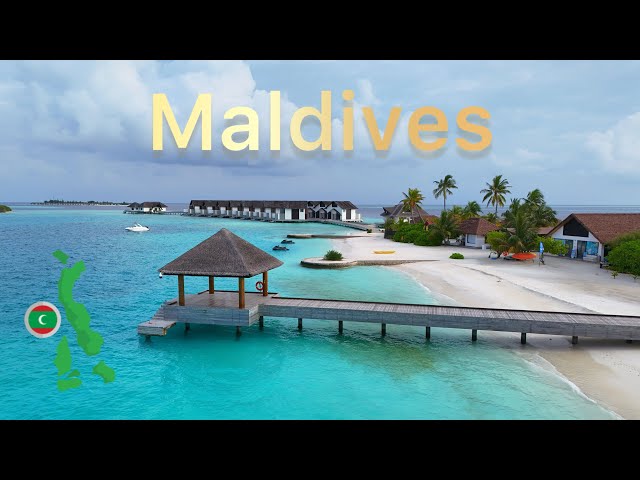 Maldives 🇲🇻 will you choose Resorts or local Islands ? 🦈 4K