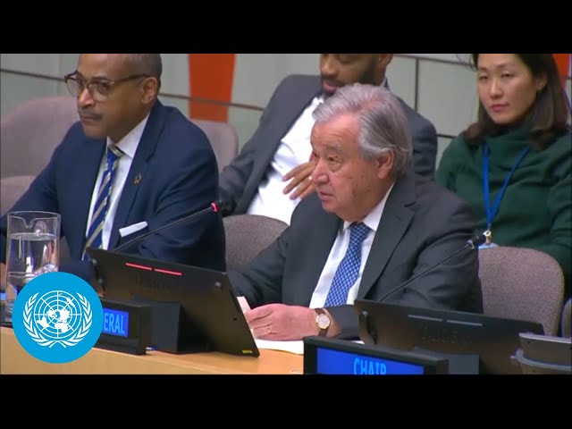 Palestine: Inalienable Rights of its People - UN Chief | United Nations