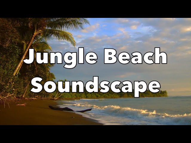 Jungle Beach Soundscape | Relaxation Sounds | 10 hours