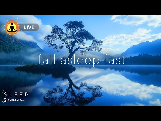 🔴 Insomnia Relief Music 24/7 🌙3310, Fall Asleep Fast, Sleep Meditation Music, Deep Sleeping Music