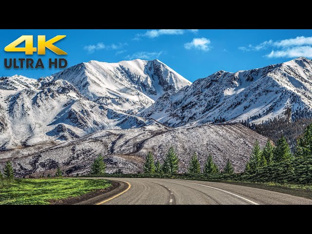 Scenic Highway 395 Sierra Nevada Mountain Drive California to Reno 4K