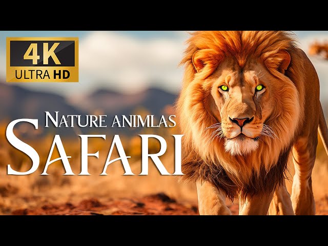 Discovering Serene Nature: Kingdom Expedition 4K