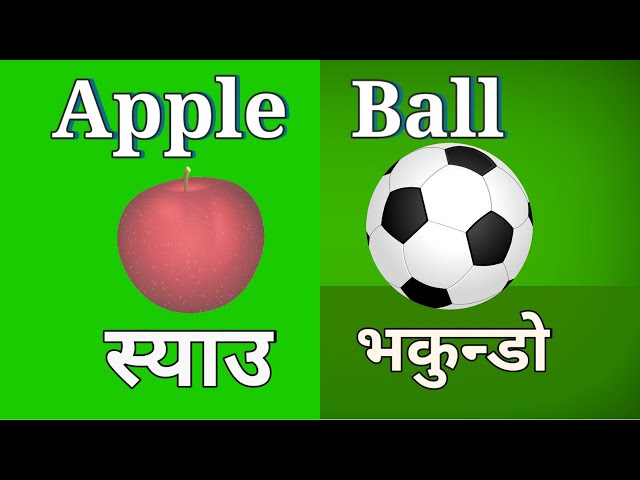 A for apple means स्याउ B for ball means भकुण्डो|ABCD alphabet song|apple means syau