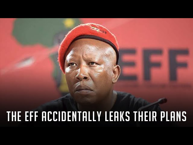 The EFF Accidentally Leaks Shutdown Plan | South Africa (2023)