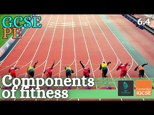 GCSE PE - COMPONENTS OF FITNESS - Health-related & skill-related - (Health, Fitness & Training 6.4)