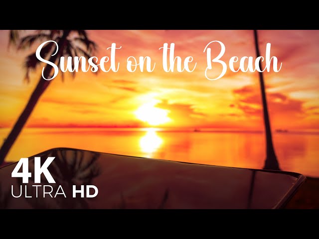 4K UHD Sunset Beach  - 8 Hours - Relax, Deep Sleep, Meditation, Chillout, Yoga, Reading