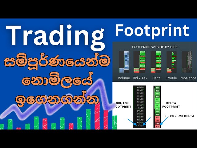 Footprint and volume trading sinhala,free ,DM Trading Insights