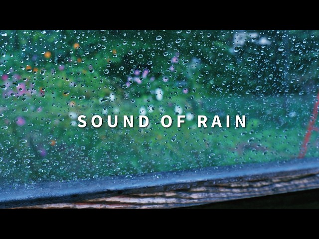 The sound of rain and birds chirping. From the window of a camper van [ASMR]