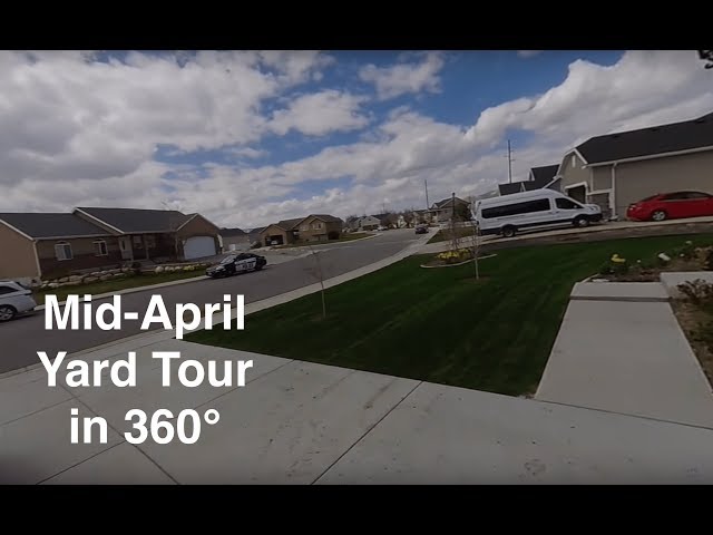 Walking Around My Yard in 360°!!!