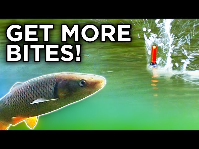 Float Fishing On Rivers - FULL GUIDE!