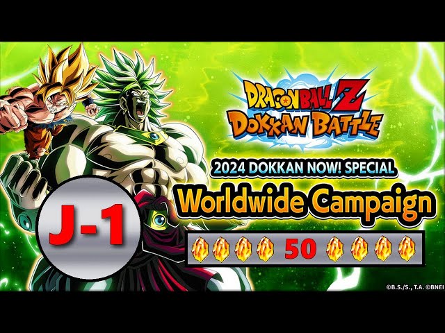 50 DS ! REVEAL PARTIE 1 : J - 1  CAMPAGNE MONDIALE COMBATS FEROCES ! BROLY DBZ GOKU LR : ROAD TO 20K