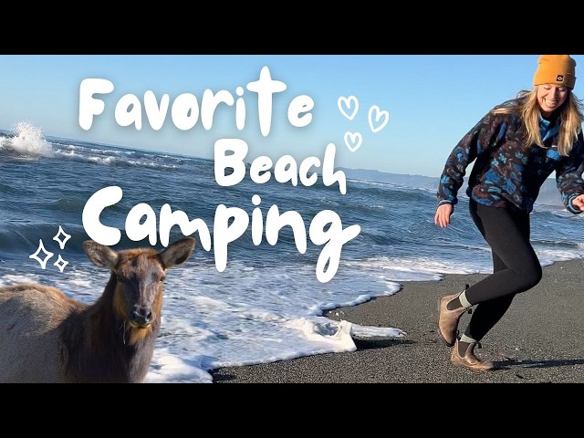 Camping on the Beach with Elk | A Van Life Adventure by the Ocean