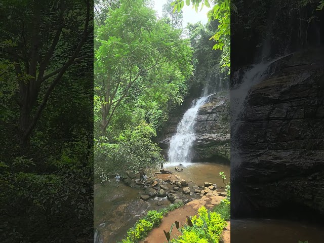 The beauty of Choma Waterfalls is simply mesmerizing! 🌍💦 #AfricanWonders#morogoro#nature