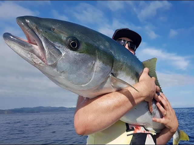 Kingfish Charters with Epic Adventures