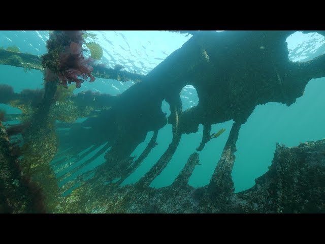 May Island shipwreck, British Columbia - 360 video