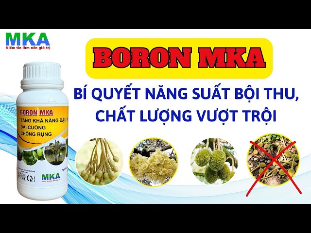 Nguyên tố Boron - Vi lượng thiết yếu cho cây trồng | Chống rụng hoa g- Giảm rụng trái