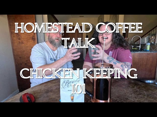 How To Start Raising Chickens, Chicken Keeping 101, Homestead Coffee Talk, Beginner Chicken Keeping