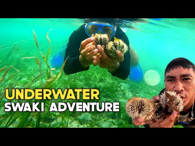 UNDERWATER SWAKI ADVENTURE | MarinongDj