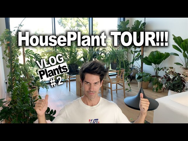 HousePlant Tour | Te enseño mi COLECCIÓN de PLANTAS!!!  - Barcelona (2020) -