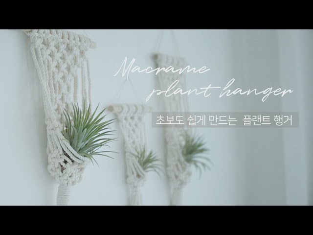 Macrame Plant Hanger/ For Beginners/Tillandsia ionantha