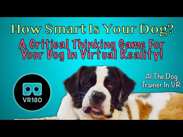 How Smart Is Your Dog?  A Critical Thinking Game for Your Dog in Virtual Reality!