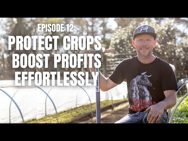 Smart Farmers Use Low Tunnels: The Most Profitable Crop Protection System | (TPMF E12)