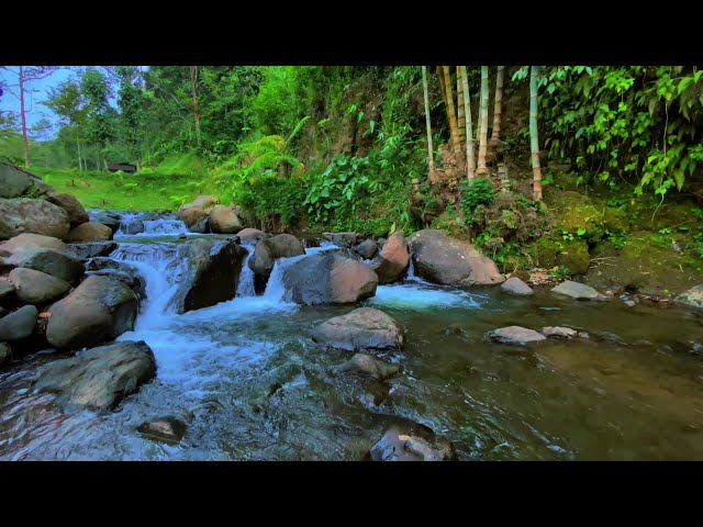 Natural River Sounds Nature Sounds White Noise Water Sounds for Deep Sleep, Stress Relief, and Study